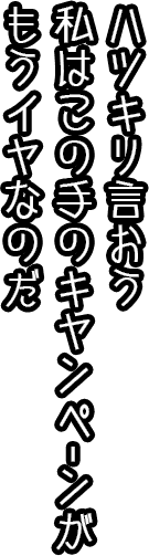 はっきり言おう、私はこの手のキャンペンーンもういいやなのだ