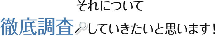 それについて徹底調査していきたいと思います！